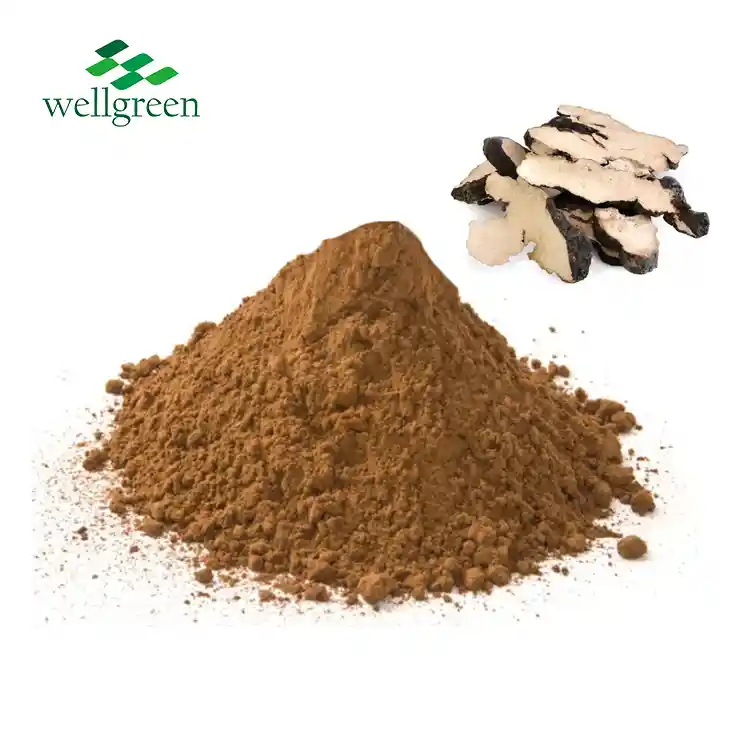 Polyporus Umbellatus Extract